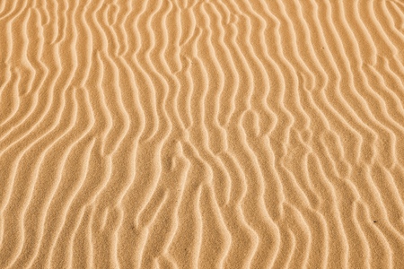 Sand pattern background - yellow beach sand in Poland.
