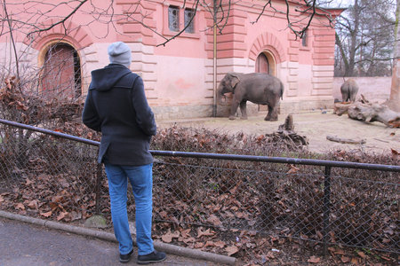 WROCLAW, POLAND - JANUARY 31, 2015: Person visits Wroclaw Zoo. Wroclaw Zoological Garden has 7,100 animals of more than 850 species.のeditorial素材