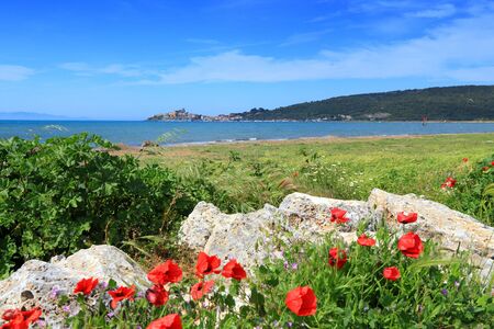 Tuscany, Italy - seaside in Grosseto province. Spring time landscape in Talamone.の写真素材