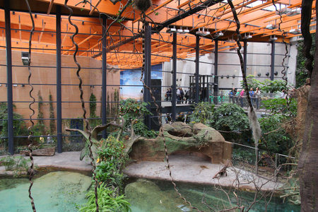 WROCLAW, POLAND - JANUARY 31, 2015: People visit Afrykarium in Wroclaw Zoo. Afrykarium is a newly built (2014) African pavilion with some 100 animal species.のeditorial素材