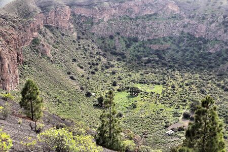 Caldera de Bandama - volcanic landscape of Gran Canaria, Spain.の写真素材