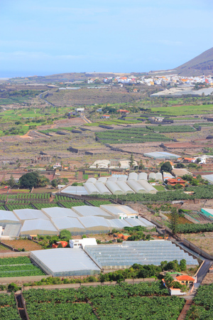 Farms in Tenerife - hothouses and banana plantations. Rural landscape in Buenavista del Norte.の写真素材