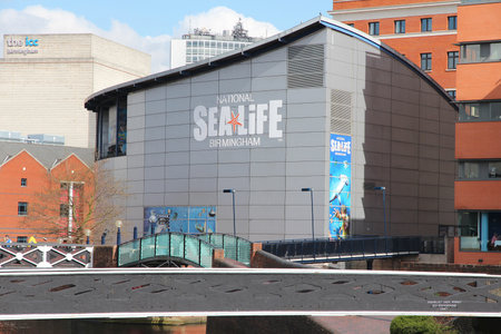 BIRMINGHAM, UK - APRIL 19, 2013: National Sea Life Centre in Birmingham, UK. It opened in 1996 and has seahorses, sharks, sting rays and otters.のeditorial素材