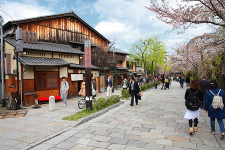 KYOTO, JAPAN - APRIL 14, 2012: People enjoy cherry blossom in Gion, Kyoto Old Town, Japan. 13,413,600 foreign tourists visited Japan in 2014.のeditorial素材