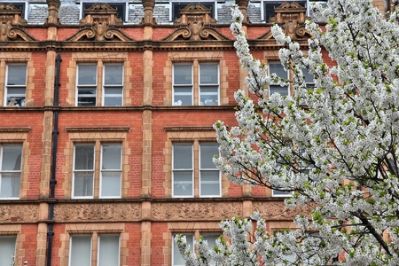 English residential architecture - old townhouses in Manchester, UK. Cherry blossom springtime.の写真素材