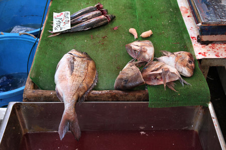 TOKYO, JAPAN - MAY 11, 2012: Seafood choice at famous Tsukiji Fish Market in Tokyo. It is the biggest wholesale fish and seafood market in the world.のeditorial素材