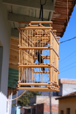 Decorative wooden singing bird cage in Trinidad, Cuba.の写真素材