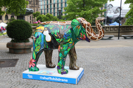 SHEFFIELD, UK - JULY 10, 2016: Painted elephant sculpture in Sheffield, Yorkshire, UK. The elephants were decorated by artists to help Sheffield Childrens Hospital charity.のeditorial素材