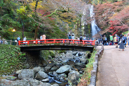 MINOO, JAPAN - NOVEMBER 22, 2016: People visit Meiji no Mori Mino Quasi-National Park near Osaka, Japan. The park is known for its spectacular autumn views.のeditorial素材