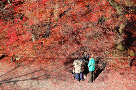 KYOTO, JAPAN - NOVEMBER 24, 2016: People visit Nanzenji temple garden in Kyoto, Japan. 19.7 million foreign tourists visited Japan in 2015.のeditorial素材