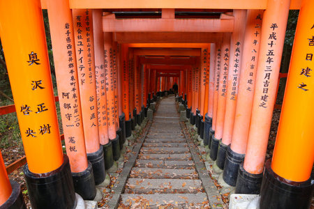 KYOTO, JAPAN - NOVEMBER 28, 2016: Torii gates of Fushimi Inari Taisha shrine in Kyoto, Japan. There are more than 10,000 torii gates at Fushimi Inari.のeditorial素材