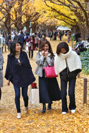 TOKYO, JAPAN - NOVEMBER 30, 2016: People visit autumn Ginkgo Avenue in Tokyo, Japan. Icho Namiki Avenue is famous for its celebration of autumn leaves.のeditorial素材
