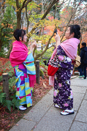 KYOTO, JAPAN - NOVEMBER 24, 2016: Women in kimono take photos with autumn leaves of maple (momiji) in Kyoto, Japan. Autumn leaves admiration (koyo) is an important tradition of Japanese culture.のeditorial素材