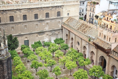 Seville, Spain - aerial view of the cathedral courtyard.の写真素材