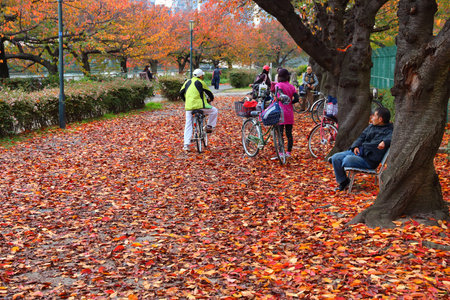 OSAKA, JAPAN - NOVEMBER 22, 2016: People visit autumn leaves in Minami Temma Park in Osaka, Japan. Osaka belongs to 2nd largest metropolitan area of Japan (19.3 million people).のeditorial素材