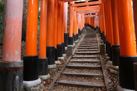 KYOTO, JAPAN - NOVEMBER 28, 2016: Torii gates of Fushimi Inari Taisha shrine in Kyoto, Japan. There are more than 10,000 torii gates at Fushimi Inari.のeditorial素材