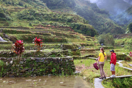 HAPAO, PHILIPPINES - NOVEMBER 26, 2017: Tourists visit Hapao rice terraces in Hungduan area in Cordillera Mountains, Philippines. 6 million foreign tourists visited Philippines in 2016.のeditorial素材