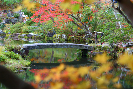 Traditional Japanese garden in autumn - Isuien Garden of Nara, Japan. Autumn foliage.の写真素材