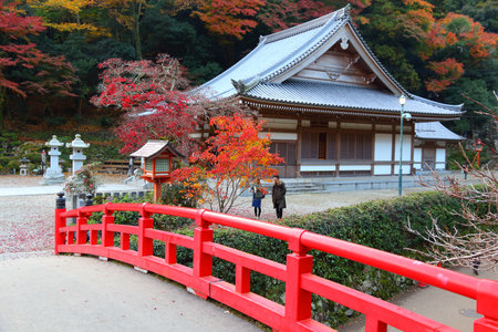 MINOO, JAPAN - NOVEMBER 22, 2016: People visit Meiji no Mori Mino Quasi-National Park near Osaka, Japan. The park is known for its spectacular autumn views.のeditorial素材