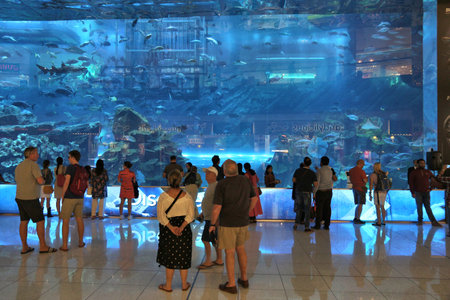 DUBAI, UAE - NOVEMBER 22, 2017: Shoppers visit the Aquarium at Dubai Mall. It is the largest mall in the world by total area with 502,000 square metres retail area.のeditorial素材