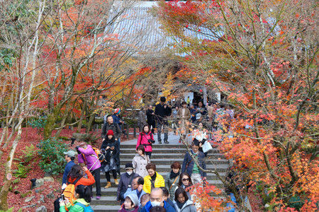 KYOTO, JAPAN - NOVEMBER 24, 2016: People visit Eikando Zenrinji gardens in Kyoto, Japan. The Jodo Buddhism temple dates back to year 853.のeditorial素材