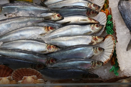 Herring - fresh fish shopping at a market place in Leeds, UK.の写真素材