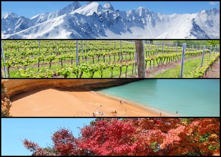 Four seasons banner collage - winter, spring, summer and autumn concept.