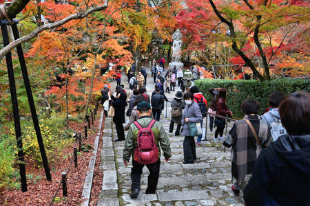 KYOTO, JAPAN - NOVEMBER 24, 2016: People visit Eikando Zenrinji temple gardens in Kyoto, Japan. The Jodo Buddhism temple dates back to year 853.のeditorial素材