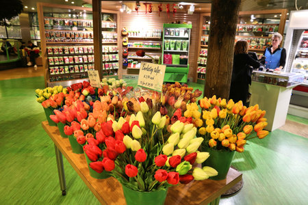 AMSTERDAM, NETHERLANDS - NOVEMBER 21, 2018: Tulip flower shop at Schiphol Airport in Amsterdam. Schiphol is the 12th busiest airport in the world with more than 63 million annual passengers.のeditorial素材