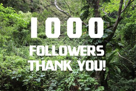 1000 followers thank you sign - social media milestone banner. 1k likes.の写真素材