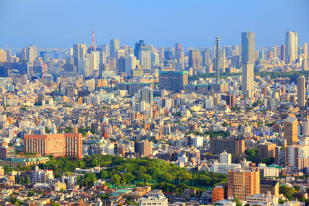 Tokyo skyline - city aerial view with Minato and Shinjuku wards. Warm sunset light.のeditorial素材
