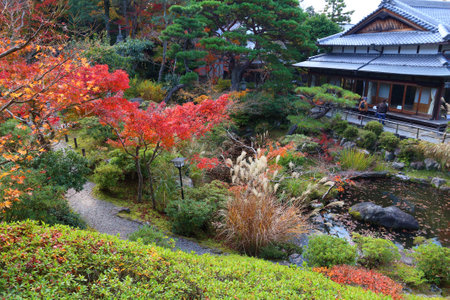 Nara, Japan. Autumn colors in Japanese garden. Yoshikien Garden.