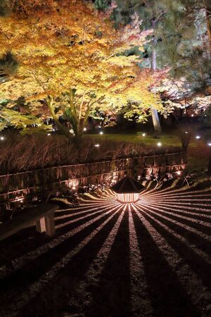 Autumn foliage illumination at night in Arashiyama, Kyoto, Japan. Hogonin Gardens.の写真素材