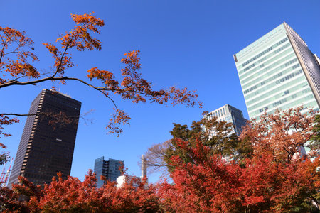TOKYO, JAPAN - DECEMBER 2, 2016: Autumn view of Tokyo modern architecture from Kyu Shiba Rikyu Garden. It is located in Minato ward of Tokyo.のeditorial素材