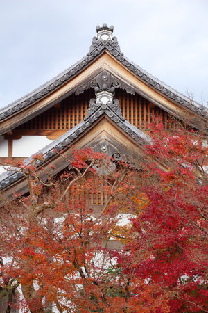 Kyoto, Japan. Colorful autumn leaves at Eikando temple.のeditorial素材