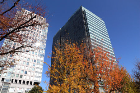 TOKYO, JAPAN - DECEMBER 2, 2016: Autumn view of Tokyo modern architecture from Kyu Shiba Rikyu Garden. It is located in Minato ward of Tokyo.のeditorial素材