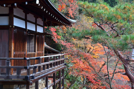 Japan landmarks. Eikando Temple in Kyoto. Autumn leaves in Japan.のeditorial素材