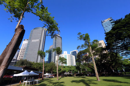 MANILA, PHILIPPINES - NOVEMBER 28, 2017: Skyline view from Ayala Triangle in Makati City, Metro Manila, Philippines. Metro Manila is one of the biggest urban areas in the world with 24 million people.のeditorial素材