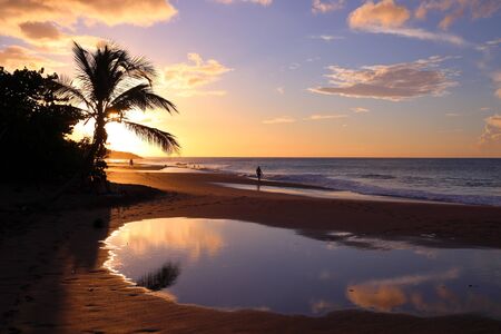 Sunset at Guadeloupe sandy beach. Caribbean vacation landscape. Perle Beach (Plage de la Perle).