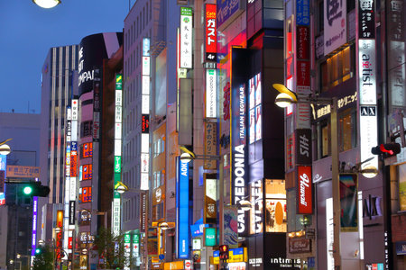 TOKYO, JAPAN - NOVEMBER 30, 2016: Neon lights of Shinjuku district of Tokyo, Japan. Tokyo is the capital city of Japan. 37.8 million people live in its metro area.のeditorial素材