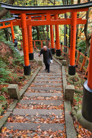 KYOTO, JAPAN - NOVEMBER 28, 2016: Person visits Fushimi Inari Taisha landmark shrine in Kyoto, Japan. There are more than 10,000 tori gates at Fushimi Inari.のeditorial素材