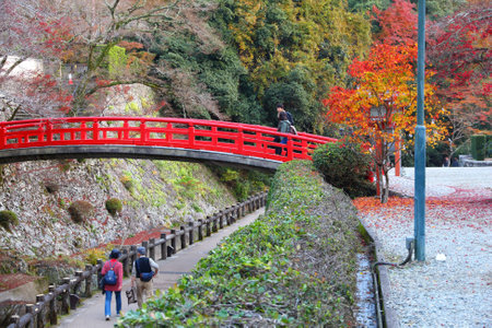 MINOH, JAPAN - NOVEMBER 22, 2016: People visit Meiji no Mori Mino Quasi-National Park near Osaka, Japan. The park is known for its spectacular autumn views.のeditorial素材