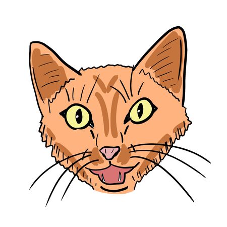 Meowing cat vector illustration. Hand-drawn ginger cat face.のイラスト素材
