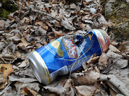 KATOWICE, POLAND - APRIL 4, 2020: Harnas beer metal can dumped illegally in a forest near Katowice, Silesia region, Poland.のeditorial素材