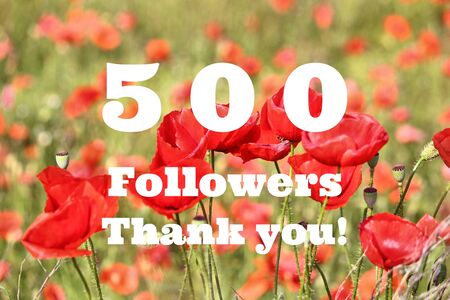 500 followers. Social media follower milestone. Thank you sign.の写真素材