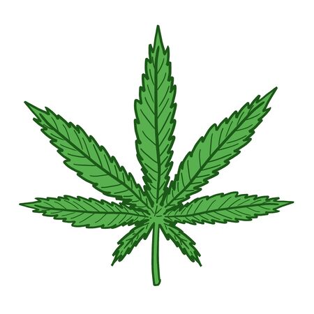 Marijuana leaf drawing. Simple hemp symbol vector.のイラスト素材