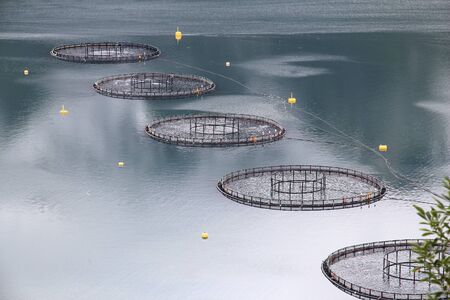 Norway landscape near Glomfjord. Rainy weather - salmon fish farm.の写真素材