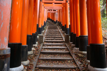 KYOTO, JAPAN - NOVEMBER 28, 2016: Torii gates of Fushimi Inari Taisha shrine in Kyoto, Japan. There are more than 10,000 tori gates at Fushimi Inari.のeditorial素材