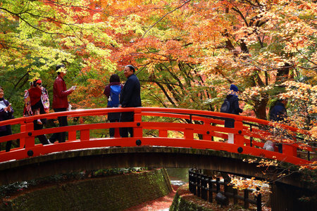 KYOTO, JAPAN - NOVEMBER 25, 2016: People visit Kitano Tenmangu shrine gardens in Kyoto, Japan. 19.7...