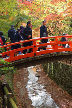KYOTO, JAPAN - NOVEMBER 25, 2016: People visit Kitano Tenmangu shrine gardens in Kyoto, Japan. 19.7...